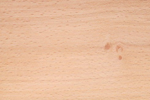Steam Beech Wood- Reldor